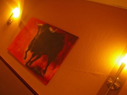 照片: Torero